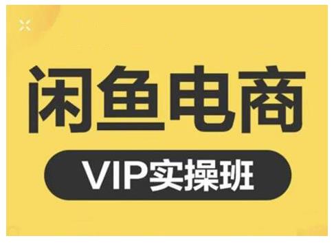闲鱼电商零基础入门到进阶VIP实战课程，帮助你掌握闲鱼电商所需的各项技能-小二项目网