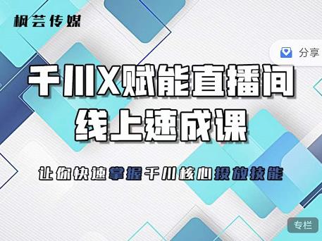 枫芸传媒-线上千川提升课，提升千川认知，提升千川投放效果-小二项目网