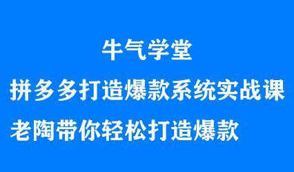 牛气学堂拼多多打造爆款系统实战课，老陶带你轻松打造爆款-小二项目网