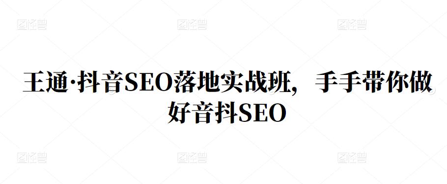 王通·抖音SEO落地实战班，手‬手带你做好音抖‬‬SEO - 小二项目网-小二项目网