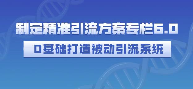 制定精准引流方案专栏6.0，0基础打造被动引流系统-小二项目网