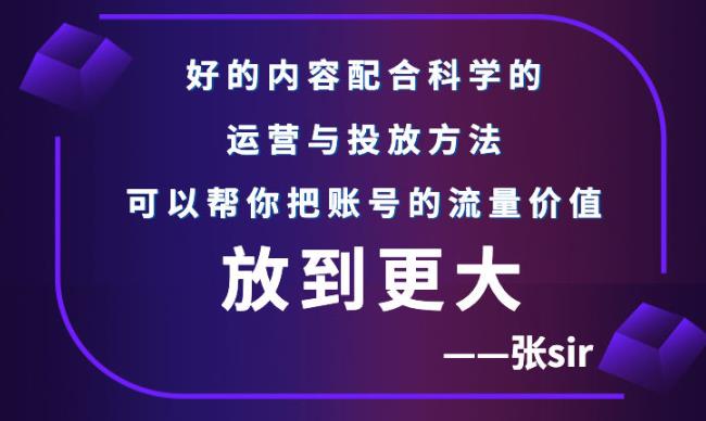 张sir账号流量增长课，告别海王流量，让你的流量更精准-小二项目网