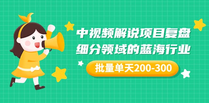 某付费文章：中视频解说项目复盘：细分领域的蓝海行业 批量单天200-300收益-小二项目网