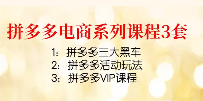 拼多多电商系列课程3套：拼多多三大黑车 拼多多活动玩法 拼多多VIP课程-小二项目网