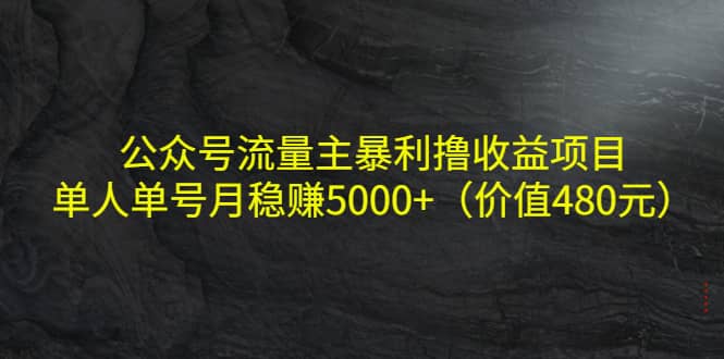 公众号流量主暴利撸收益项目，单人单号月稳赚5000 （价值480元）-小二项目网
