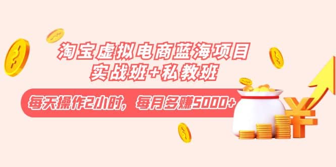 淘宝虚拟电商蓝海项目实战班 私教班-小二项目网
