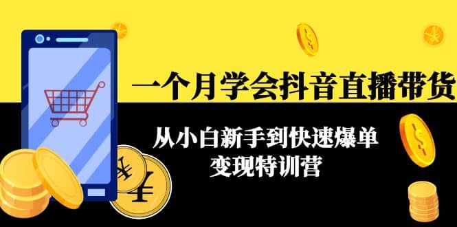 一个月学会抖音直播带货：从小白新手到快速爆单变现特训营(63节课)-小二项目网
