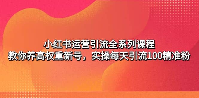 小红书运营引流全系列课程：教你养高权重新号-小二项目网
