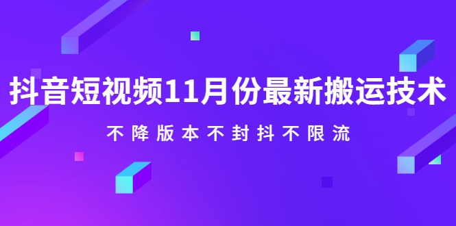 抖音短视频11月份最新搬运技术，不降版本不封抖不限流！【视频课程】-小二项目网