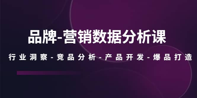 品牌-营销数据分析课，行业洞察-竞品分析-产品开发-爆品打造-小二项目网
