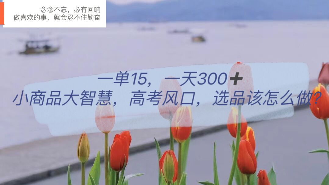 一单15，一天300 ，小商品大智慧，高考风口，选品该怎么布局 - 小二项目网-小二项目网