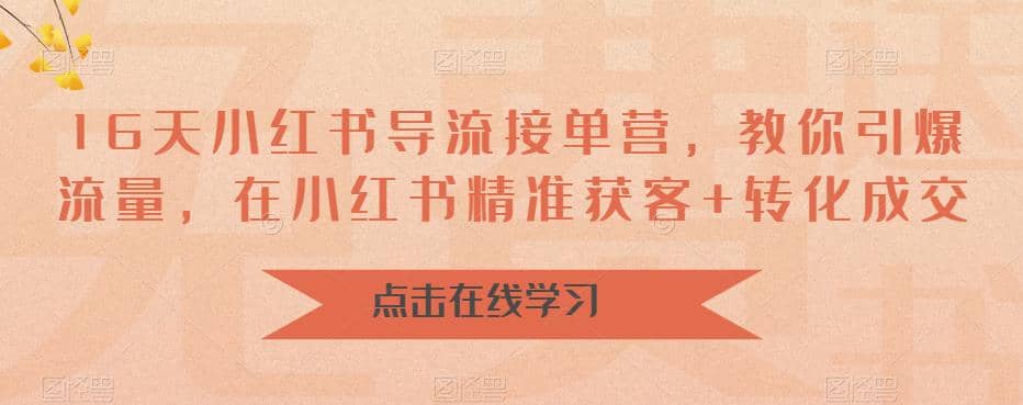 16天-小红书 导流接单营，教你引爆流量，在小红书精准获客 转化成交-小二项目网
