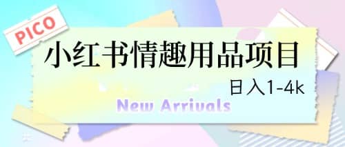 最新小红书情趣用品项目，日入1-4k - 小二项目网-小二项目网