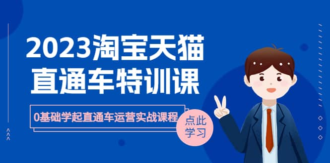 2023淘宝·天猫直通车评特训课，0基础学起直通车运营实战课程（8节课时）-小二项目网