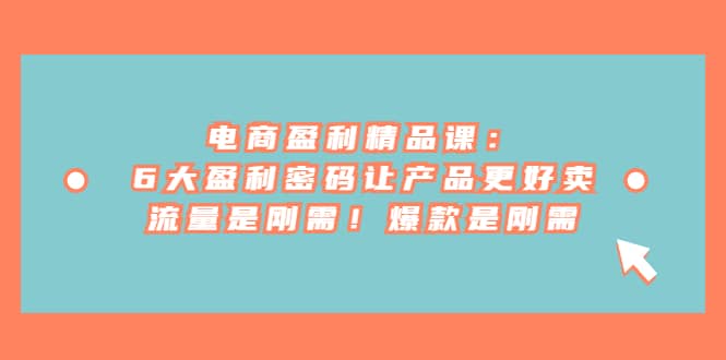 电商 盈利精品课：6大盈利 密码让产品更好卖，流量是刚需！爆款是刚需-小二项目网