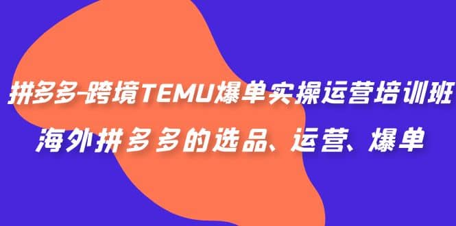 拼多多-跨境TEMU爆单实操运营培训班，海外拼多多的选品、运营、爆单-小二项目网