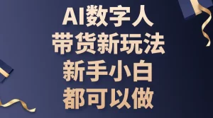 AI数字人带货新玩法，新手小白都可以做-小二项目网