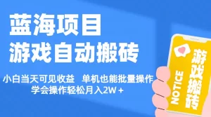 【蓝海项目】游戏自动搬砖 小白当天可见收益 单机也能批量操作 学会操作轻松月入2W＋-小二项目网