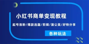 小红书商单变现教程：起号涨粉/爆款选题/剪辑/蒲公英/好物分享/各种玩法-小二项目网