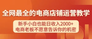 电商店铺运营教学，新手小白也能日收入2000+，电商老板不愿意告诉你的机密-小二项目网