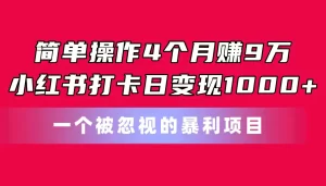 简单操作4个月赚9万！小红书打卡日变现1000+！一个被忽视的暴力项目-小二项目网
