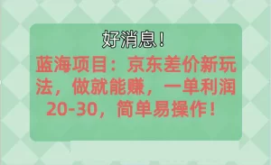 越早知道越能赚到钱的蓝海项目：京东大平台操作，一单利润20-30，简单易操作-小二项目网