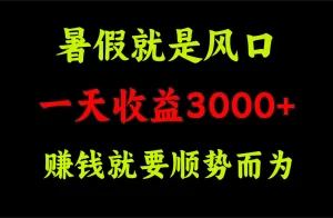 一天收益3000+ 赚钱就是顺势而为，暑假就是风口-小二项目网