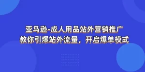 亚马逊-成人用品 站外营销推广 教你引爆站外流量，开启爆单模式-小二项目网