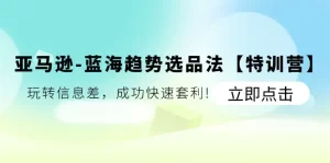 亚马逊-蓝海趋势选品法【特训营】：玩转信息差，成功快速套利!-小二项目网
