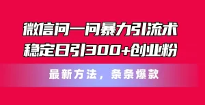 微信问一问暴力引流术，稳定日引300+创业粉，最新方法，条条爆款-小二项目网