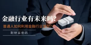 某付费文章：金融行业有未来吗？普通人如何利用金融行业发财?(附财富密码)-小二项目网