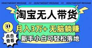 淘宝无人带货3.0高收益玩法，月入3万+，无脑躺赚，新手小白可落地实操-小二项目网
