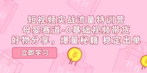 短视频实战流量特训营，母婴赛道-0基础带货，好物分享，爆量秘籍 稳定出单-小二项目网