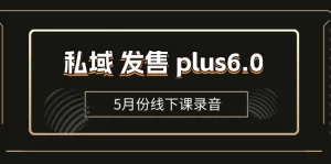 私域 发售 plus6.0【5月份线下课录音】/全域套装 sop流程包，社群发售-小二项目网