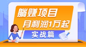 躺赚副业项目，月利润1万起，当天见收益，实战篇-小二项目网