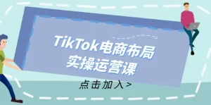 TikTok电商布局实操运营课：从新手到精通，成为TikTok带货运营高手-小二项目网