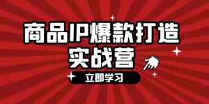 商品-IP爆款打造实战营【第四期】，手把手教你打造商品IP，爆款 不断-小二项目网