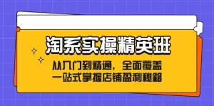 淘系实操精英班：从入门到精通，全面覆盖，一站式掌握店铺盈利秘籍-小二项目网