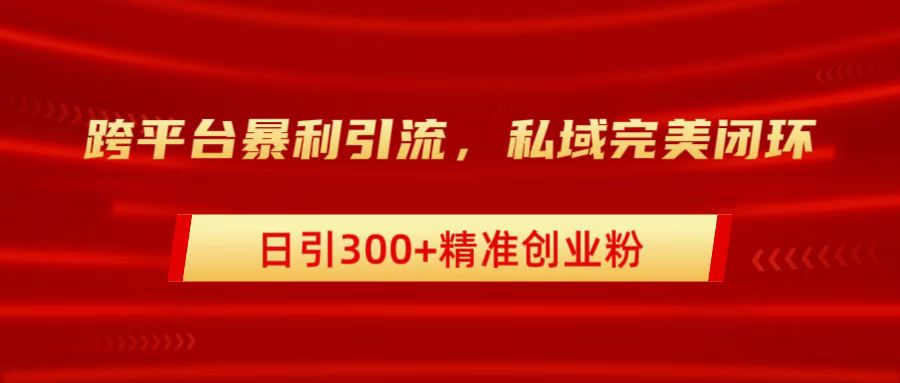 跨平台暴力引流，私域完美闭环，日引300+精准创业粉-小二项目网