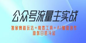 公众号流量主实战：独家赛道玩法+高效工具+AI辅助创作，助你日进斗金-小二项目网