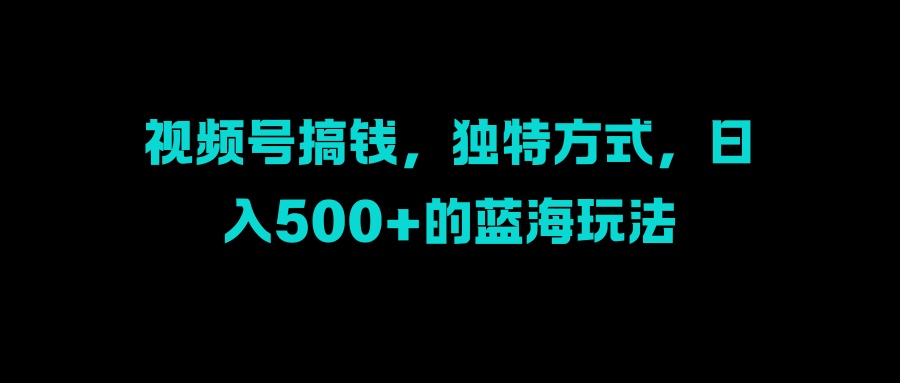视频号搞钱,独特方式,日入500+的蓝海玩法-小二项目网