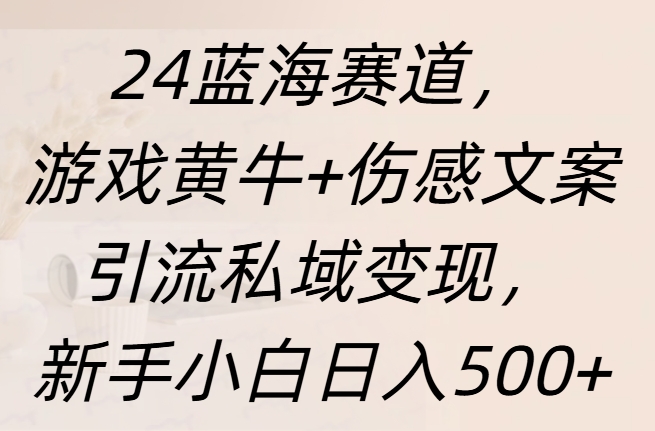 24蓝海赛道,游戏黄牛+伤感文案引流私域变现,新手日入500+-小二项目网