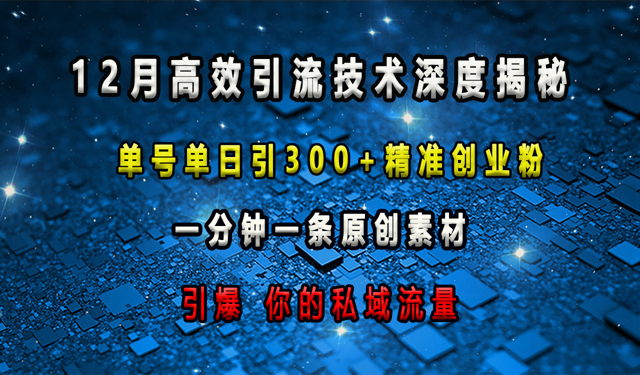 12月高效引流技术深度揭秘 ，单号单日引300+精准创业粉，一分钟一条原创素材，引爆你的私域流量-小二项目网