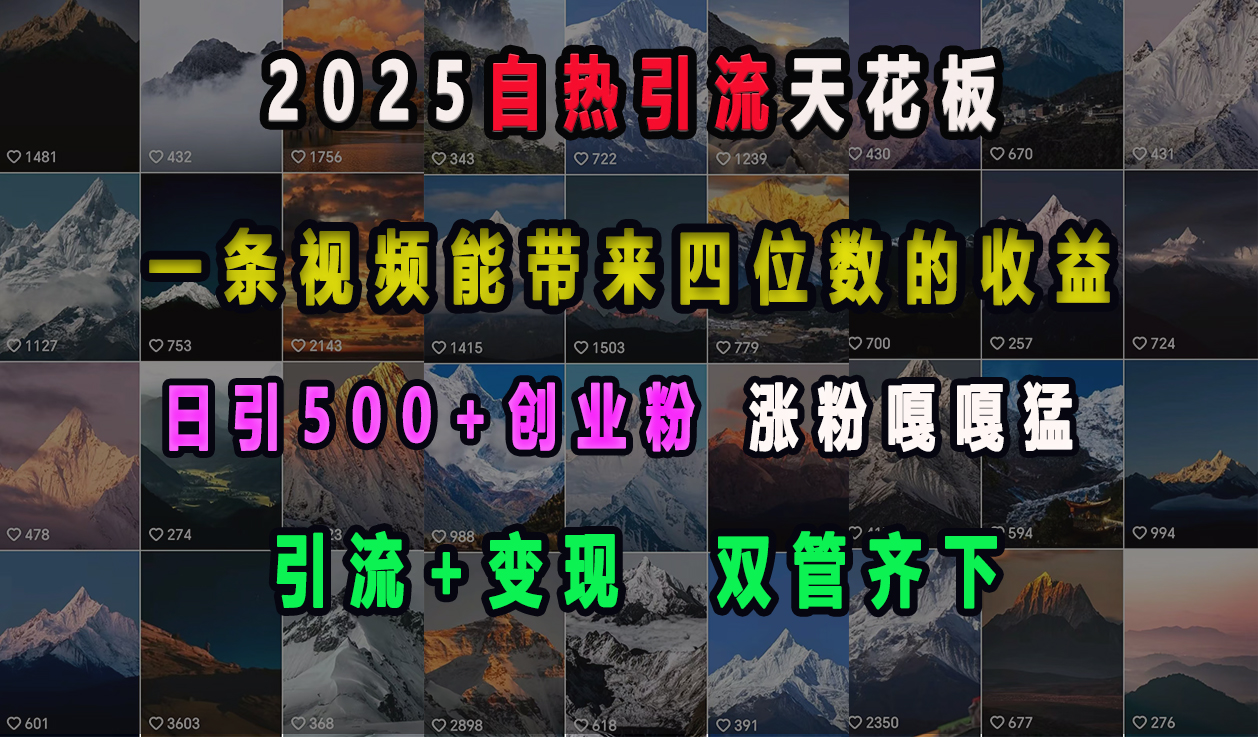 2025自热引流天花板，一条视频能带来四位数的收益，引流+变现双管齐下，日引500+创业粉，涨粉嘎嘎猛-小二项目网