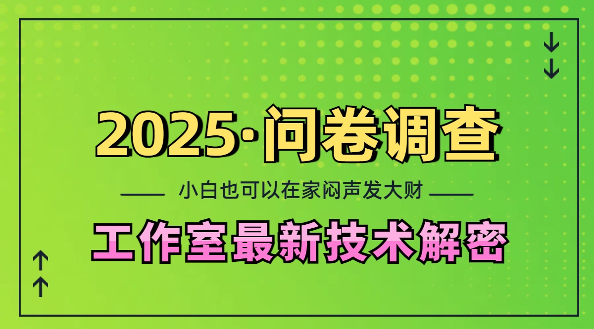 2025《问卷调查》最新工作室技术解密：一个人在家也可以闷声发大财，小白一天200+，可矩阵放大-小二项目网