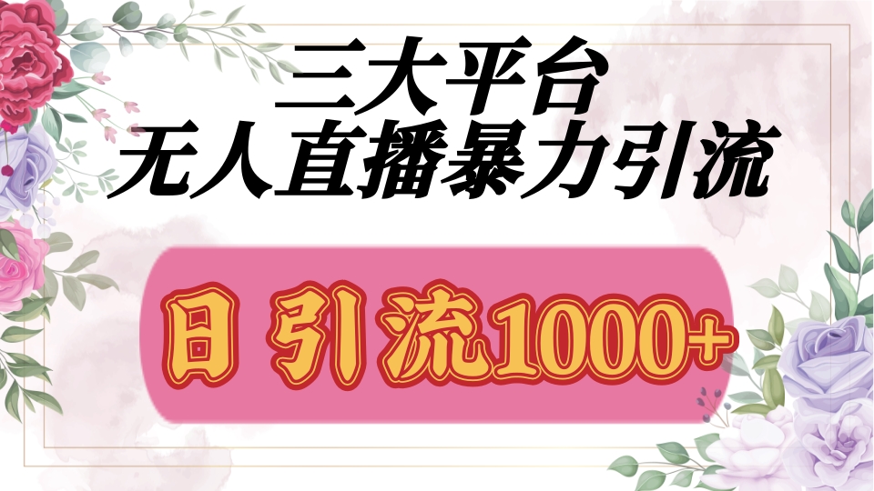 抖音,快手,视频号全平台通用,无人直播引流法,利用图片,模板,整套话术挂机全天支持矩阵操作,无限设备多开,超暴力引流,1000+高质量精准创业粉-小二项目网