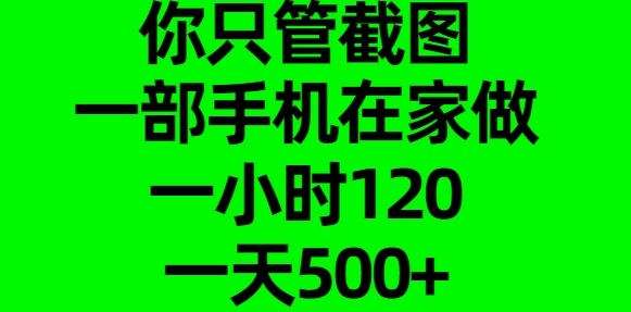 你只管截图，一部手机在家做，一小时120，一天500+-小二项目网
