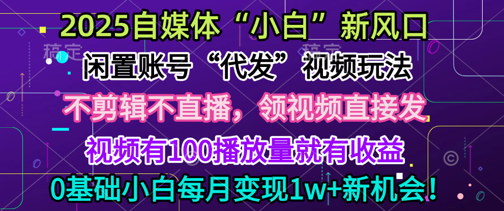 2025每月躺赚5w+新机会，闲置视频账号一键代发玩法，0粉不实名不剪辑，领了视频直接发，0基础小白也能日入300+-小二项目网