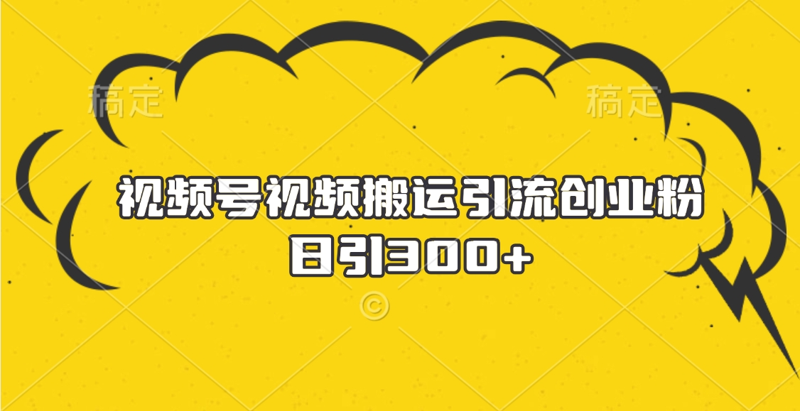 视频号视频搬运引流创业粉，日引300+-小二项目网
