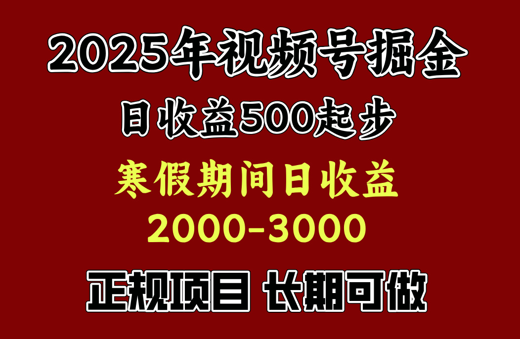 寒假期间一天收益2000+，小白一天就能上手-小二项目网